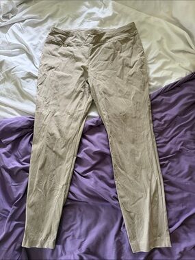 Alfani Beige/Tan Slim Ankle Pants